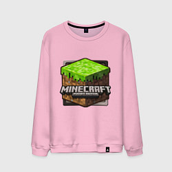 Мужской свитшот Minecraft: Pocket Edition