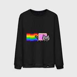 Мужской свитшот Nyan Cat