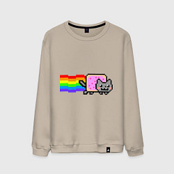 Мужской свитшот Nyan Cat