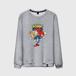 Свитшот хлопковый мужской Sonic Mania, цвет: меланж