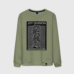 Мужской свитшот Joy Division: Unknown Pleasures