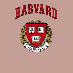 Свитшот хлопковый мужской Harvard university, цвет: пыльно-розовый — фото 2