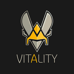 Свитшот хлопковый мужской VITALITY Team: Esports, цвет: черный — фото 2