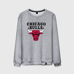 Мужской свитшот Chicago Bulls