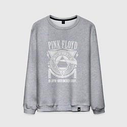 Мужской свитшот Pink Floyd