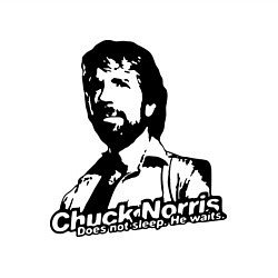 Свитшот хлопковый мужской Chuck Norris: He Waits, цвет: белый — фото 2