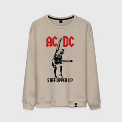 Свитшот хлопковый мужской AC/DC: Stiff Upper Lip, цвет: миндальный