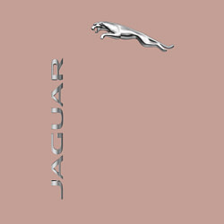 Свитшот хлопковый мужской Jaguar Motors, цвет: пыльно-розовый — фото 2