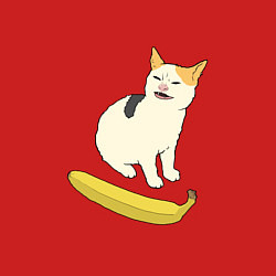 Свитшот хлопковый мужской Cat no banana meme, цвет: красный — фото 2