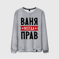 Мужской свитшот Ваня всегда прав