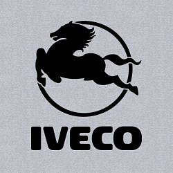 Свитшот хлопковый мужской Iveco, цвет: меланж — фото 2