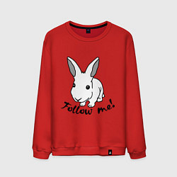 Мужской свитшот Rabbit: follow me