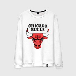 Свитшот хлопковый мужской Chicago Bulls, цвет: белый