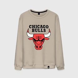Свитшот хлопковый мужской Chicago Bulls, цвет: миндальный