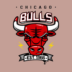 Свитшот хлопковый мужской Chicago Bulls est. 1966, цвет: пыльно-розовый — фото 2