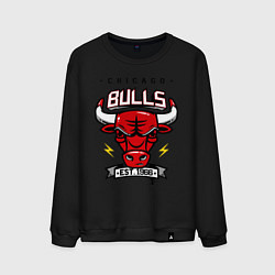 Свитшот хлопковый мужской Chicago Bulls est. 1966, цвет: черный