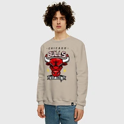 Свитшот хлопковый мужской Chicago Bulls est. 1966, цвет: миндальный — фото 2