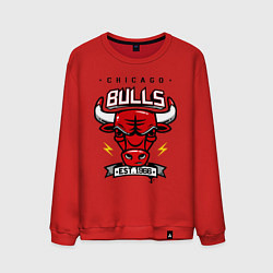 Свитшот хлопковый мужской Chicago Bulls est. 1966, цвет: красный