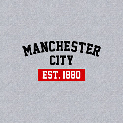 Свитшот хлопковый мужской FC Manchester City Est. 1880, цвет: меланж — фото 2