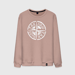 Мужской свитшот Taknado Stone Island