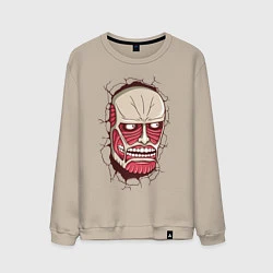 Мужской свитшот Colossal Titan