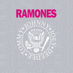 Свитшот хлопковый мужской Ramones Boyband, цвет: меланж — фото 2