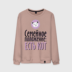 Мужской свитшот Семейное положение: есть кот