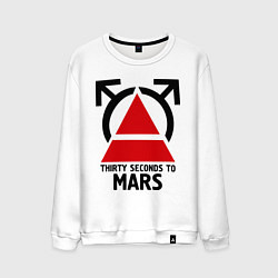 Мужской свитшот Thirty Seconds To Mars