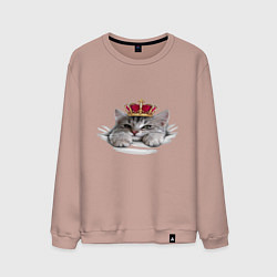 Мужской свитшот Pretty kitten