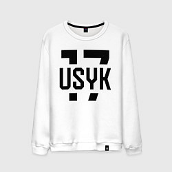 Мужской свитшот USYK 17