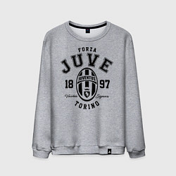 Свитшот хлопковый мужской Forza Juve 1897: Torino, цвет: меланж
