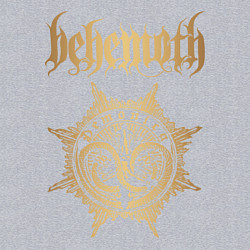 Свитшот хлопковый мужской Behemoth: Demonica, цвет: меланж — фото 2