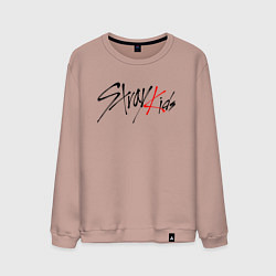 Мужской свитшот STRAY KIDS FELIX