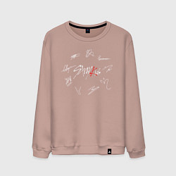 Свитшот хлопковый мужской STRAY KIDS АВТОГРАФЫ, цвет: пыльно-розовый