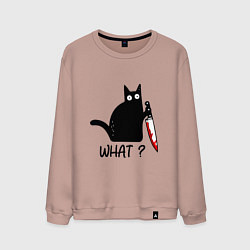 Свитшот хлопковый мужской What cat, цвет: пыльно-розовый