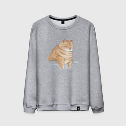 Свитшот хлопковый мужской Толстый Кот, цвет: меланж