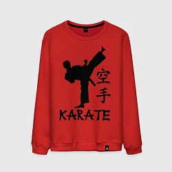 Свитшот хлопковый мужской Karate craftsmanship, цвет: красный