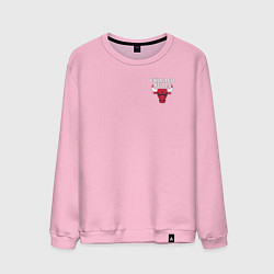 Мужской свитшот CHICAGO BULLS