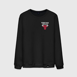 Свитшот хлопковый мужской CHICAGO BULLS НА СПИНЕ, цвет: черный