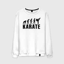 Мужской свитшот Karate Evolution