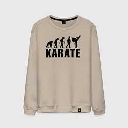 Мужской свитшот Karate Evolution