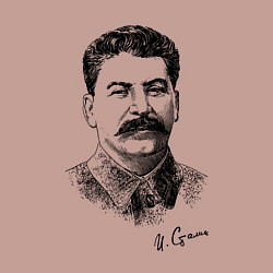 Свитшот хлопковый мужской Товарищ Сталин, цвет: пыльно-розовый — фото 2