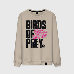 Свитшот хлопковый мужской Birds of Prey logo, цвет: миндальный