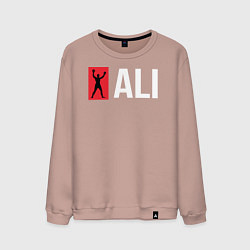 Свитшот хлопковый мужской ALI, цвет: пыльно-розовый