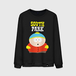 Свитшот хлопковый мужской SOUTH PARK, цвет: черный