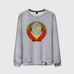 Свитшот хлопковый мужской СССР, цвет: меланж