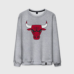 Мужской свитшот Chicago Bulls