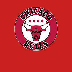 Свитшот хлопковый мужской CHICAGO BULLS, цвет: красный — фото 2