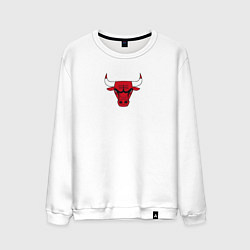 Мужской свитшот CHICAGO BULLS