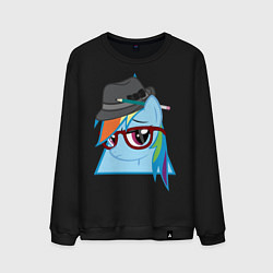 Мужской свитшот Rainbow Dash hipster